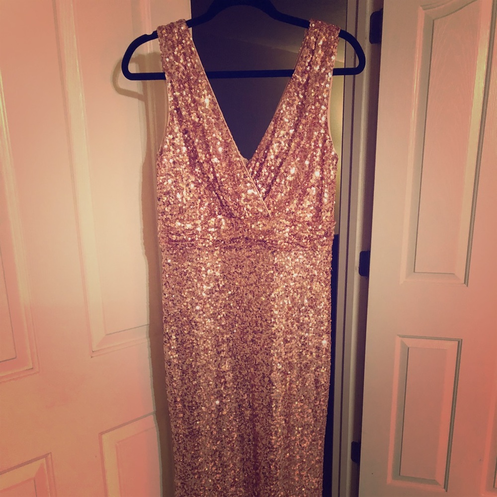 Belle Badgley Mischa rose gold sequin dress.